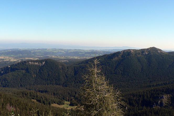 Tatry. W górach jest mnóstwo pięknych szlaków, gdzie nie ma tłumów