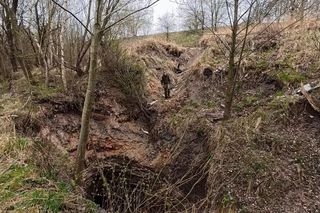 Wałbrzych. Gigantyczne zapadlisko pochłania drogę i drzewa. To ewenement