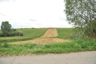 Wiceminister rolnictwa na ciągniku 