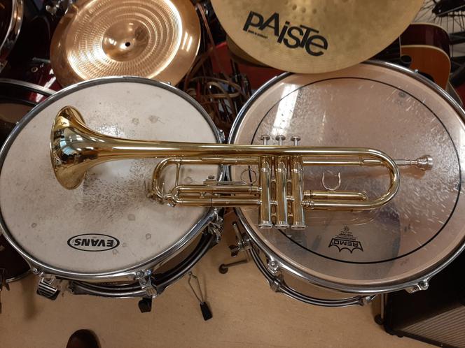 Instrumenty i obrazy w dziupli złodzieja