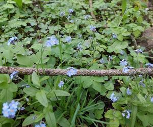 Ogród Botaniczny UKW jest jak nowy. Sprawdźcie, co się tam zmieniło!