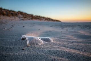 Ilość śmieci na plażach poraża. Miasto wylicza, ile sprzątnęli odpadów w tym roku