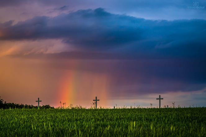 Uchwycił tęczę po burzy na Podkarpaciu. Jest magia! [GALERIA]