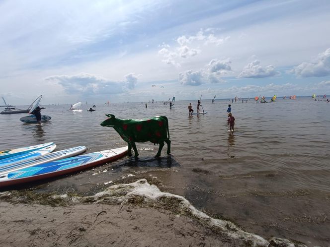 Nietypowa atrakcja nad morzem. Ta figura stoi w wodzie! Turyści ją pokochali
