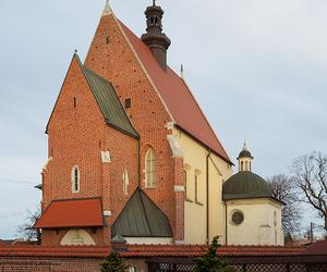 Niepołomice i Puszcza Niepołomicka - idealny sposób na weekend blisko Krakowa. Zwiedzaj z Wędrownymi Motylami!