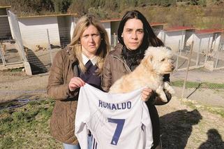 Cristiano Ronaldo uratował schronisko dla psów