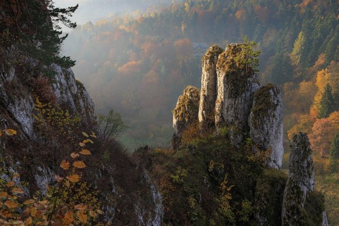 Ten park narodowy nazywany jest "polską Szwajcarią"