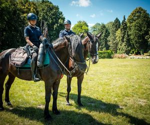 Policyjne wierzchowce od lat wspierają śląską policję