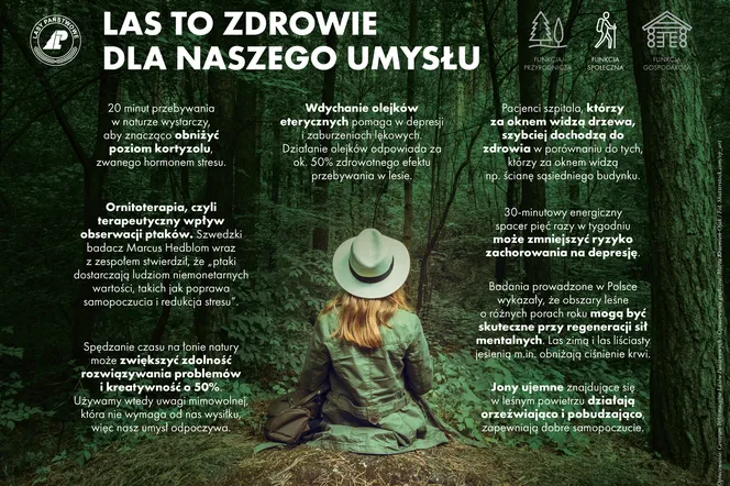 Wybierz się do lasu, by zadbać o zdrowie – zachęcają leśnicy