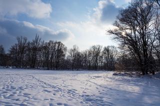 Park w Skawinie zachwyca zimą