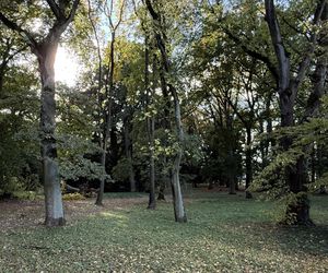 Jesień w Polsce 2025