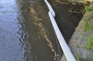 Po gigantycznym pożarze w Siemianowicach Śląskich, prokuratura wszczyna śledztwo