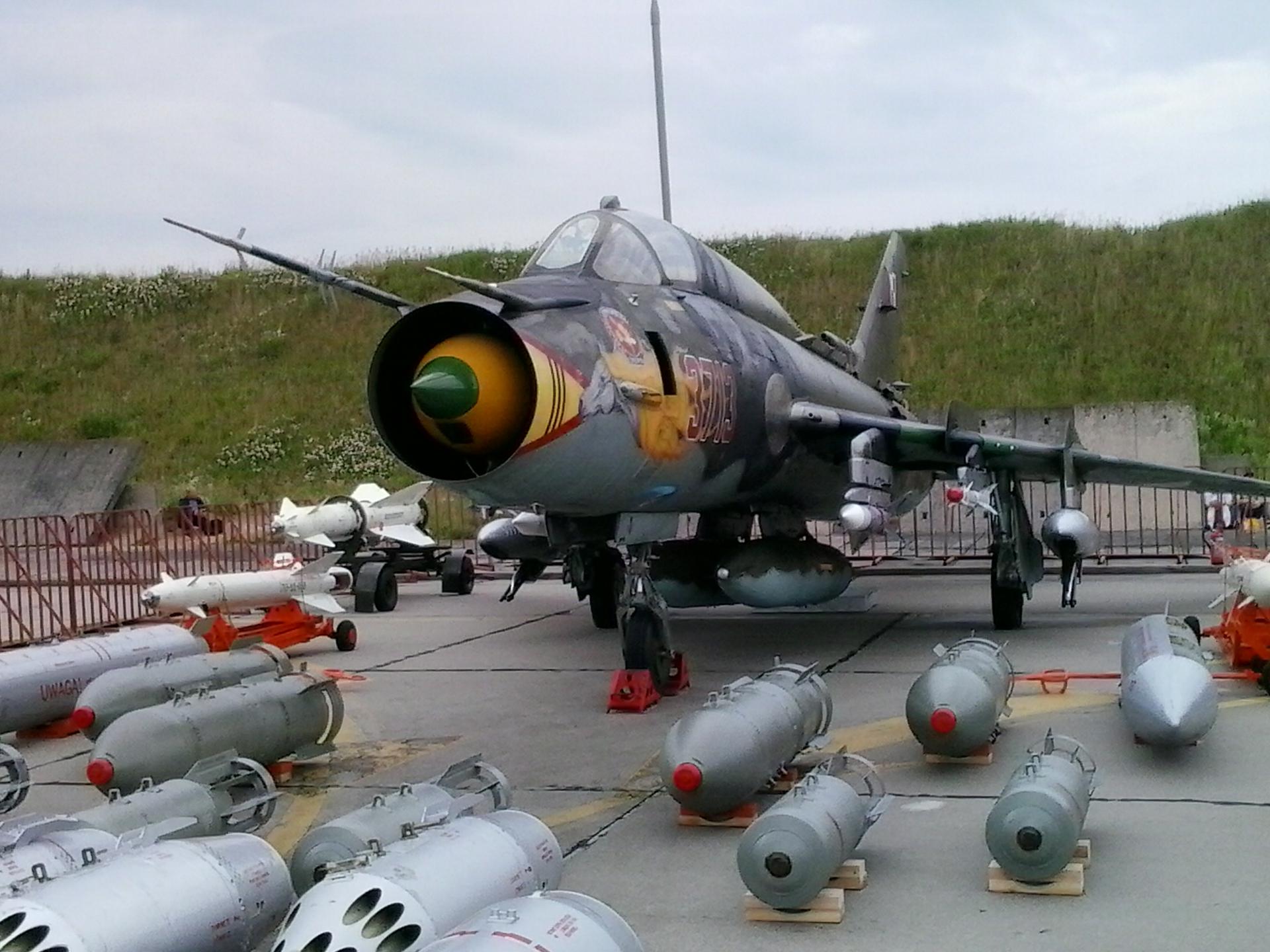 piknik 2014 (Su-22)