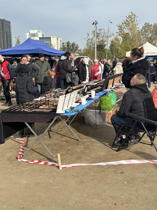 Niedzielny Targ - nowy pchli targ w Poznaniu