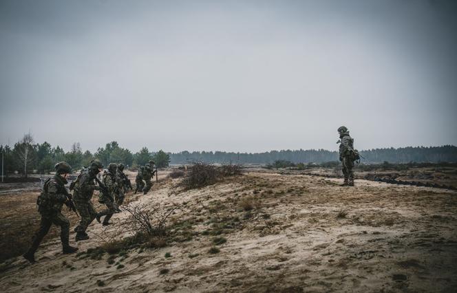 Lubelscy terytorialsi ćwiczą na poligonie w Nowej Dębie