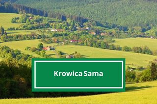 To najzabawniejsze nazwy miejscowości w woj. podkarpackim. Listę stworzyło AI 