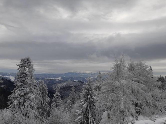 Zima znowu atakuje.  Uwaga na śnieżycę i silny wiatr!