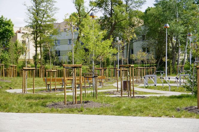 Miasto Piła