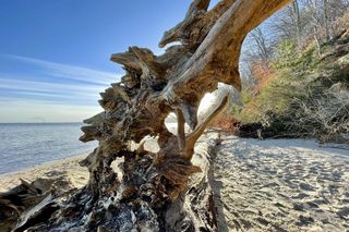 Gdynia na majówkę. Jak spędzić długi weekend w stolicy morskiej żeglugi? 
