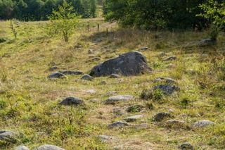 Głazowisko Bachanowo w woj. podlaskim