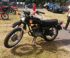 Siedlce:  16. Zlot Pojazdów Zabytkowych „Mrowisko”