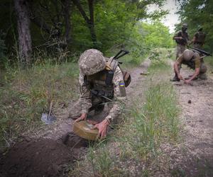 USA/ Mechaniczny pies-saper amerykańskiej armii pomoże oczyszczać Ukrainę z niewybuchów