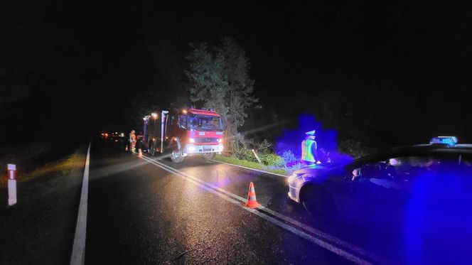 Śmiertelny wypadek pod Zgorzelcem. Kierujący osobówką zginął, dziecko zostało ranne [ZDJĘCIA]