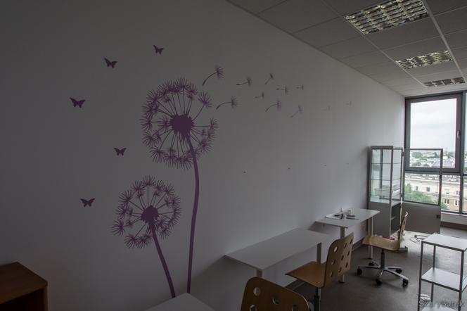 Zlikwidowana szkoła nadal straszy [GALERIA]