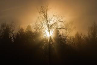 GIGANTYCZNA mgła w Lublinie to SMOG?! FATALNA jakość powietrza na Lubelszczyźnie