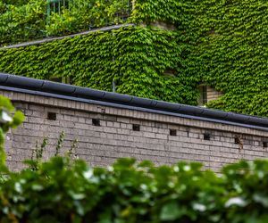 Willa Romualda Gutta na Kolonii Profesorskiej w Warszawie