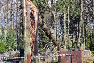 Trwa sprzątanie cmentarzy po wichurach