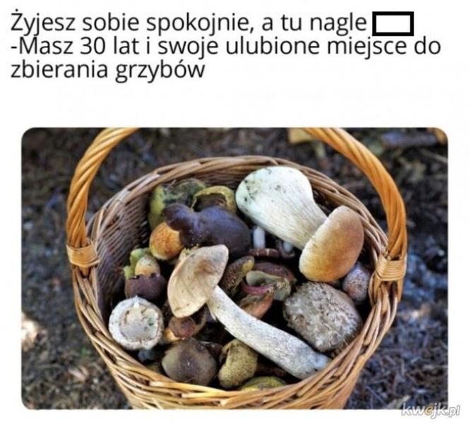 Nóż się w kieszeni otwiera i Janusz i szykuje się na grzyby! MEMY o grzybobraniu [GALERIA]