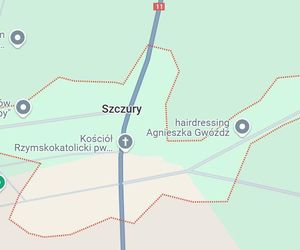 Szczury