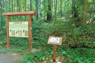 Równikowy zegar słoneczny na Dylewskiej Górze. To nowa atrakcja na Mazurach [ZDJĘCIA]