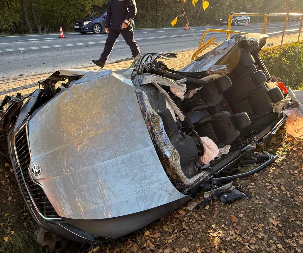 Tragiczny wypadek na DK73 w miejscowości Cieliny