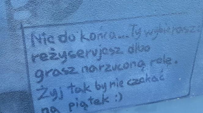 Murale namalowane w ramach pleneru artystycznego