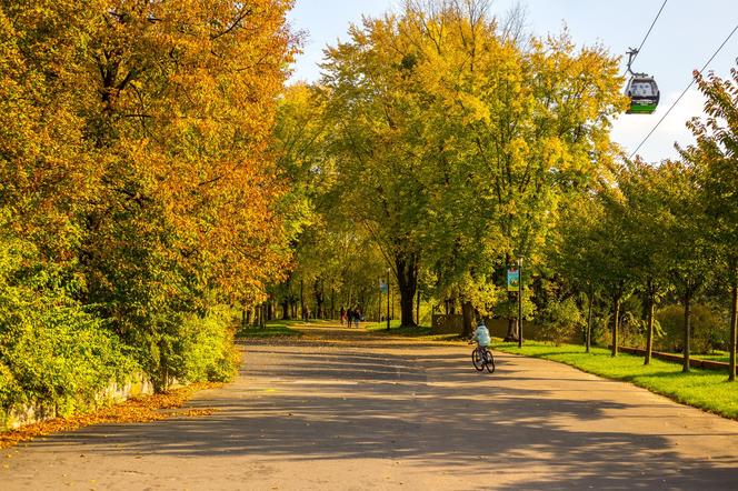 Park Śląski jesienią jest naprawdę piękny