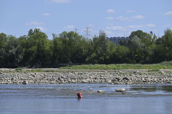 Alarm! Wisła wysycha na naszych oczach. Katastrofalny poziom wody w Warszawie