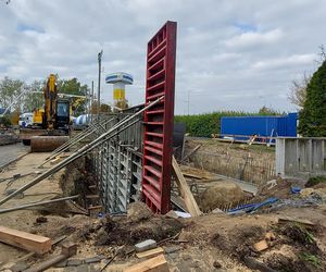 W zamojskim ZOO powstaje  nowoczesne pingwinarium. Zamieszkają tam tońce