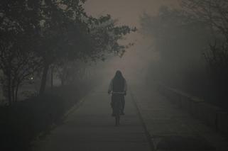 Mapa smogu 2018 - jak  sprawdzić gdzie powietrze jest najgorsze?