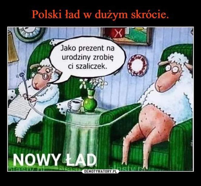 POLSKI ŁAD w oczach internautów. Zobacz najlepsze memy!