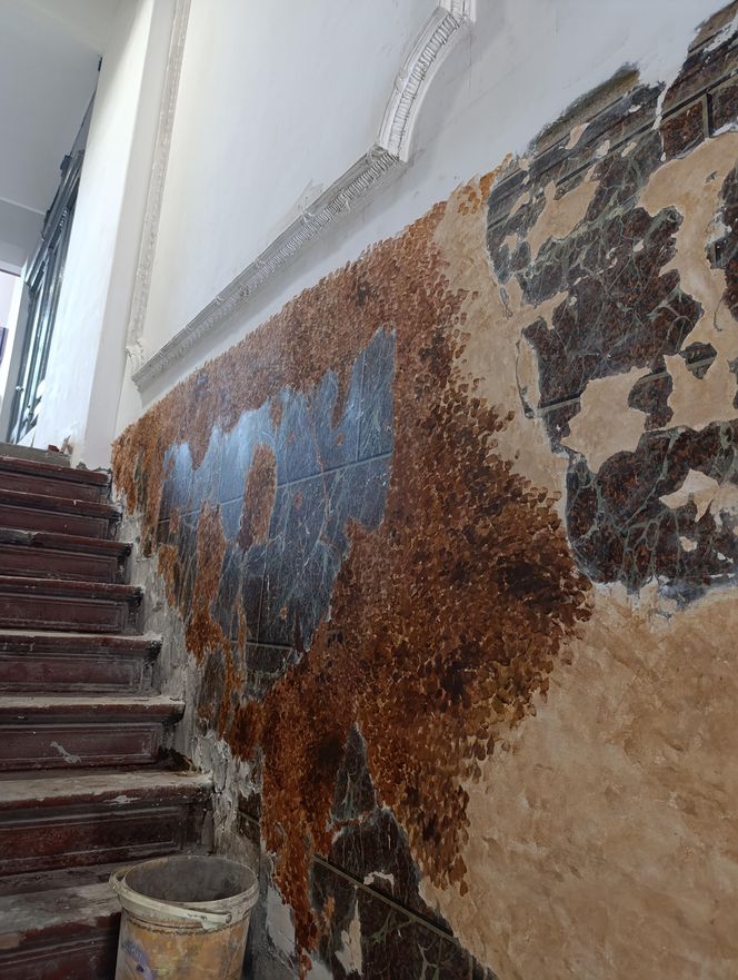 Renowacja kamienicy przy ul. Cybulskiego 19, Wrocław