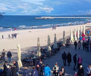 Nad Bałtykiem dzieje się coś niezwykłego!