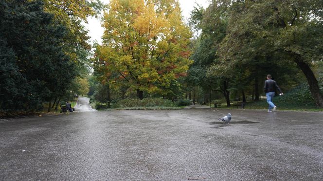 Ogród Saski w Lublinie w jesiennej odsłonie