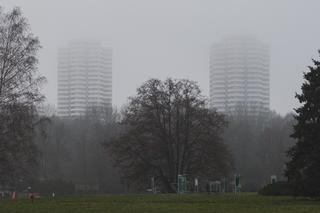 Kukurydze - zdjęcia katowickich bloków z Osiedla Tysiąclecia