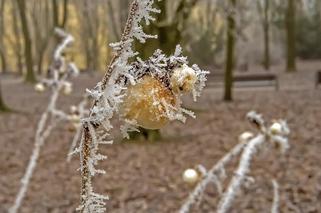Mroźny Białystok [ZDJĘCIE DNIA]
