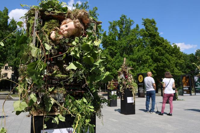 Weekend z florystyką w Lublinie. Zobacz imponujące roślinne instalacje w centrum miasta!