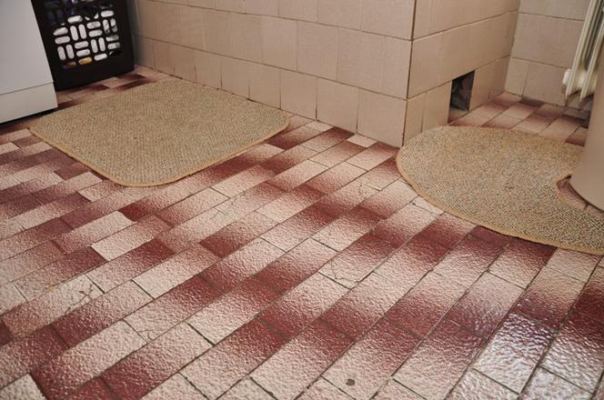 Zdjęcie 7337