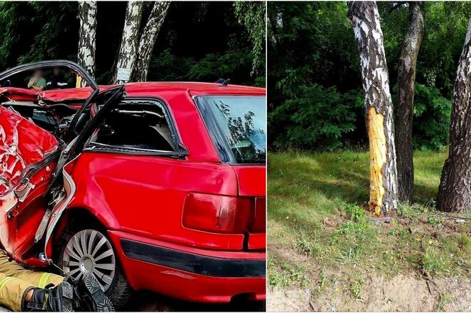 Śmiertelny wypadek w Zaborowie pod Warszawą. 36-letni kierowca audi uderzył w drzewo. Nie żyje 