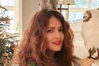 Salma Hayek hoduje SOWĘ! 